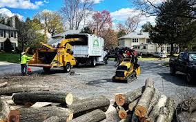 Reliable Sunset, UT  Tree Services Solutions